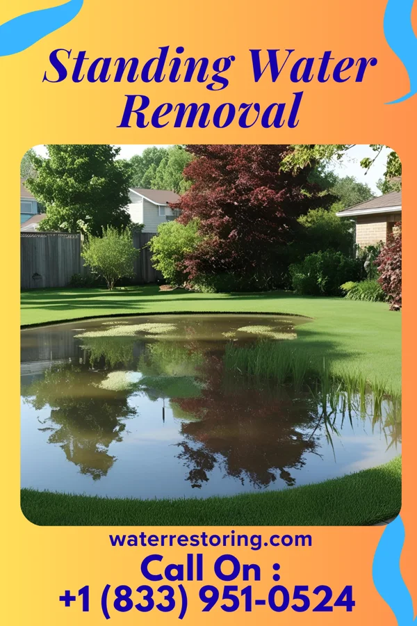 Standing Water Removal in Grenada, MS